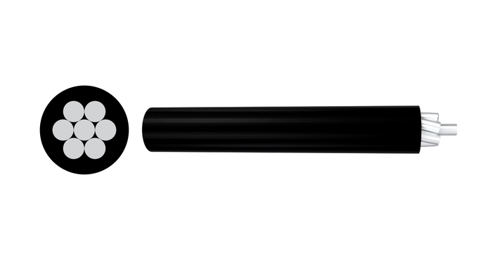 0.6/1KV CAAPI Cable