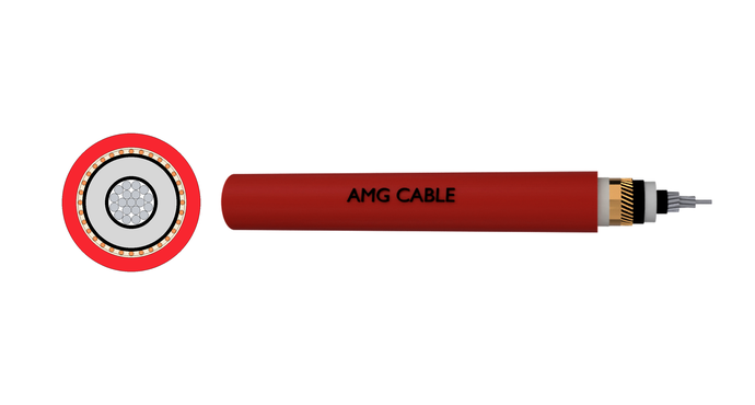 Medium Voltage Cable 6/10KV 12/20KV 18/30kV NA2XSY Cable AL/XLPE/CWS/PVC