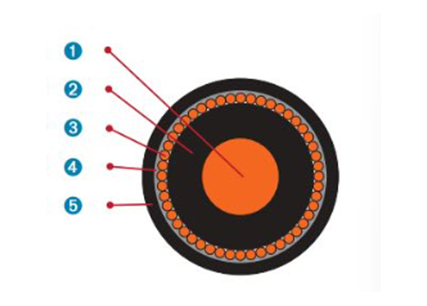 Concentric Cable to Chile